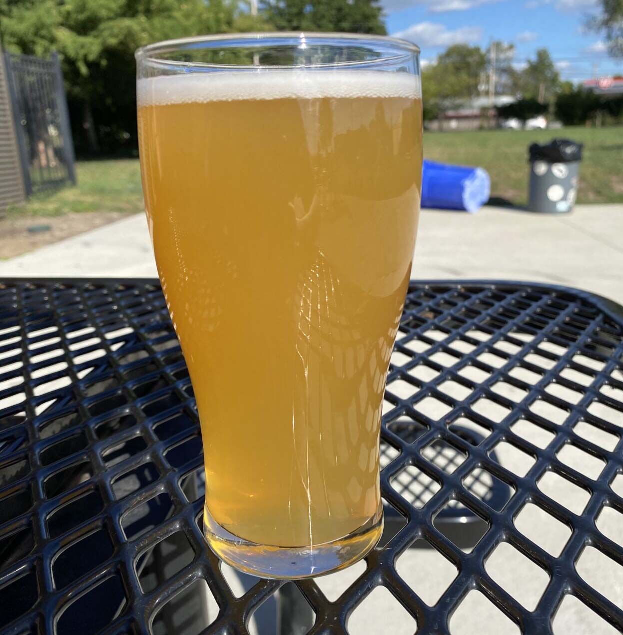 Logboat Gold Cup Key-Lime Kolsch